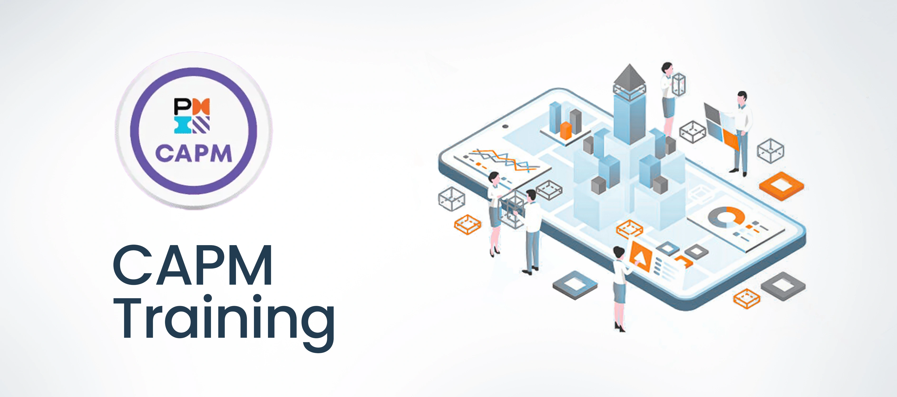 CAPM Training